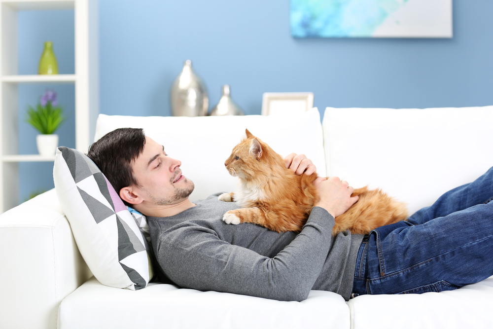 3 conseils pratiques pour bien vivre en compagnie d’un chat